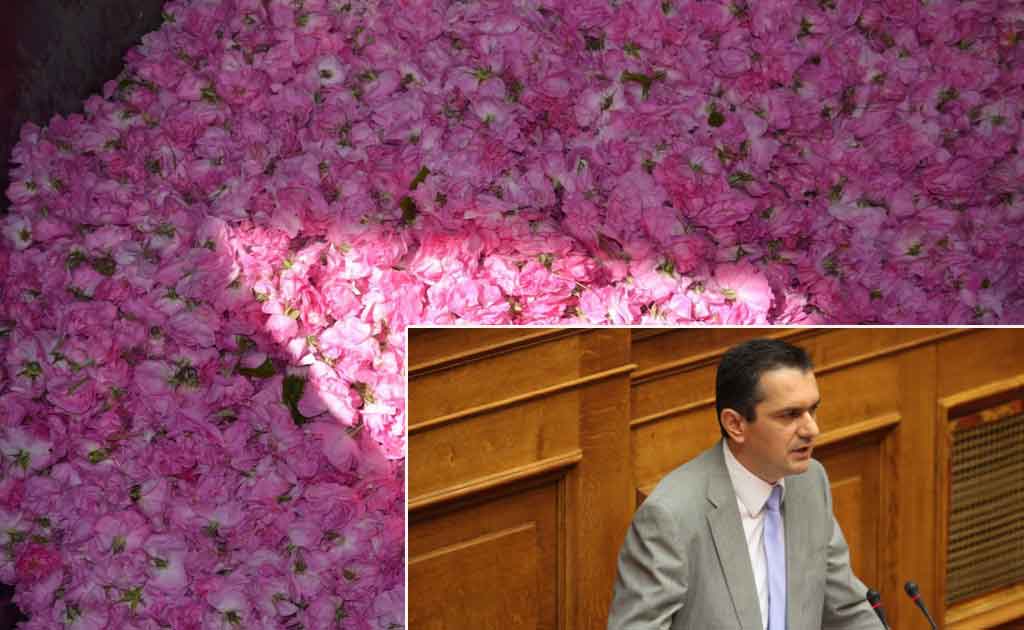 “Τα αρωματικά φυτά μπορούν να φέρουν εκατοντάδες θέσεις εργασίας στο Νομό την επόμενη 5ετία”