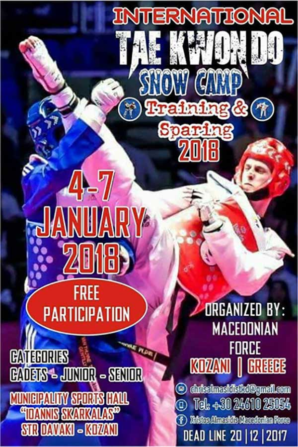 Snow Camp tae kwon do 2018
