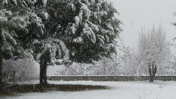 Η πρόβλεψη καιρού του Γιώργου Βασιλειάδη, μιλάει για 25εκ χιονιού στην Κοζάνη. Δείτε αναλυτικά
