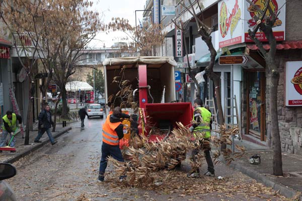 Κυκλοφοριακές ρυθμίσεις λόγω εργασιών κλαδέματος δέντρων