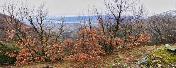 Εξόρμηση στα Πιέρια με τον ΕΟΣ Κοζάνης, την Κυριακή 25.3.2018