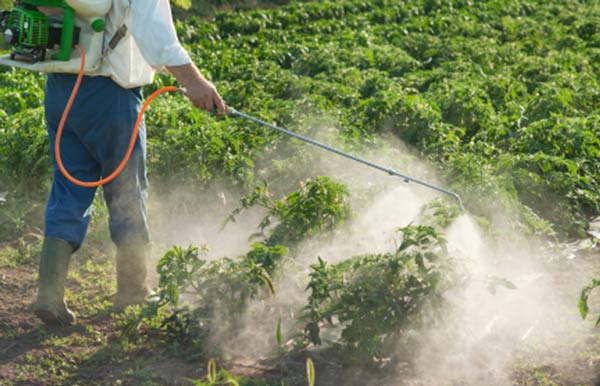 Ανακοίνωση για τους ψεκασμούς με φυτοπροστατευτικά προϊόντα σε ειδικές περιοχές της Π.Ε. Κοζάνης