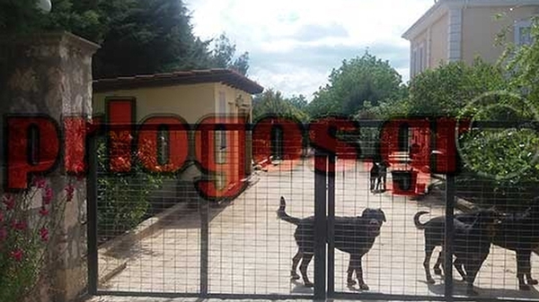 200.000 ευρώ ζητά ο ιδιοκτήτης των ροτβάιλερ από τη μητέρα του 5χρονου Στάθη