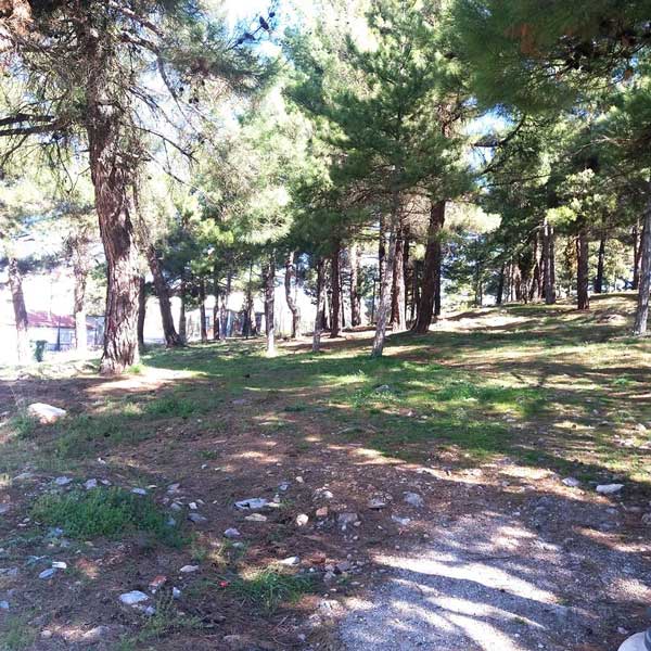 Ο Άη Σαράντης χωρίς τις στοιχειώδεις υποδομές-Μετατίθενται οι πιστοποιήσεις των παιδικών χαρών