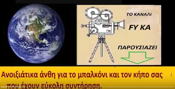 Ανοιξιάτικα λουλούδια που μπορούν να συντηρηθούν εύκολα στο κήπο ή το μπαλκόνι σας