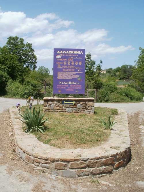 Εκλογές για τον Πολιτιστικό και Λαογραφικό Σύλλογο Δαμασκηνιωτών “Η Παναγία”