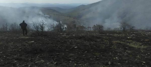 Πυρκαγιά στη Γαλατινή! 60 στρέμματα κάηκαν