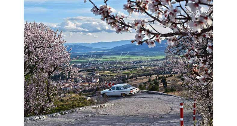 Η Φωτογραφία της Ημέρας: Ανθισμένη διαδρομή κατηφορίζοντας τον Αη Λιά (του Νίκου Καραδήμου)
