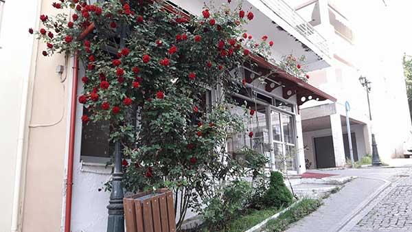 Η φωτογραφία της ημέρας: Γνήσιο κόκκινο εντός κι εκτός