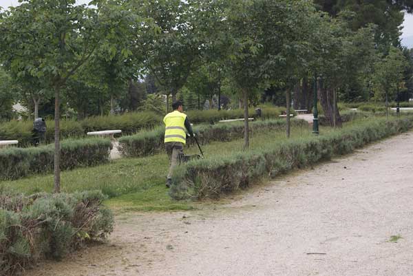 Ολοκληρώνονται σήμερα οι εργασίες συντήρησης πρασίνου στο Δημοτικό Κήπο Κοζάνης