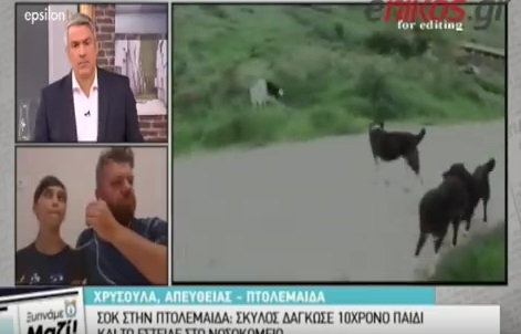 Σοκ στην Πτολεμαΐδα: Σκύλος επιτέθηκε και δάγκωσε 10χρονο στην κεντρική πλατεία- ΒΙΝΤΕΟ