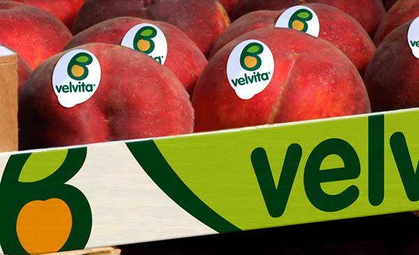 Το (μικρό γαλατικό χωριό) φαινόμενο Velvita