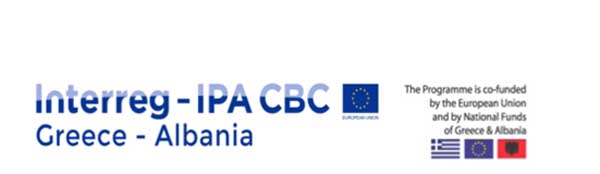 Ενδοεπιχειρησιακή επιχειρηματική επιτάχυνση για υφιστάμενες επιχειρήσεις, ACCEL.