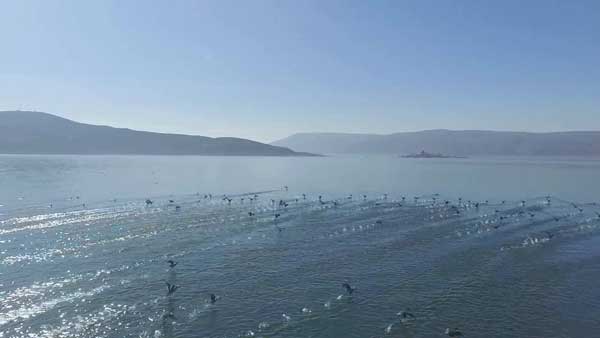 Ο αργός θάνατος της Βεγορίτιδας και η αποτροπή του