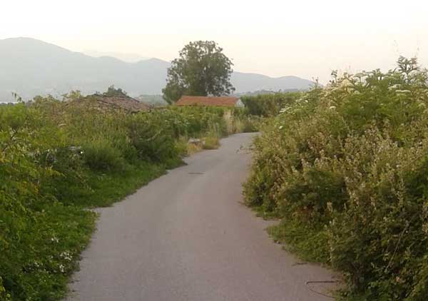 O Αγροτικός σύλλογος Βελβεντού για αγροτική οδοποιία