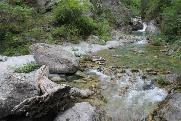 Ο Ε.Ο.Σ. Κοζάνης διοργανώνει την Κυριακή 8.6.2018 ορειβασία στο Φαράγγι του Ενιπέα