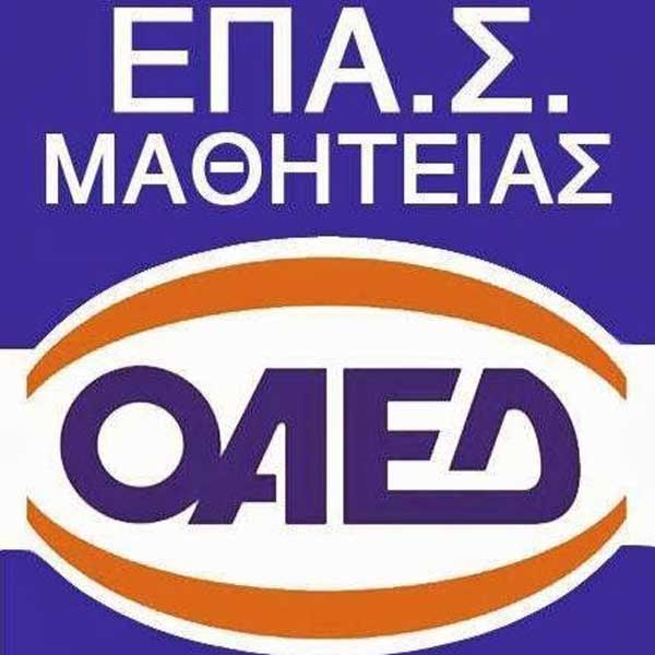 ΕΠΑ.Σ Καστοριάς ΟΑΕΔ: Ειδικότητες σχολικού έτους 2020-2021