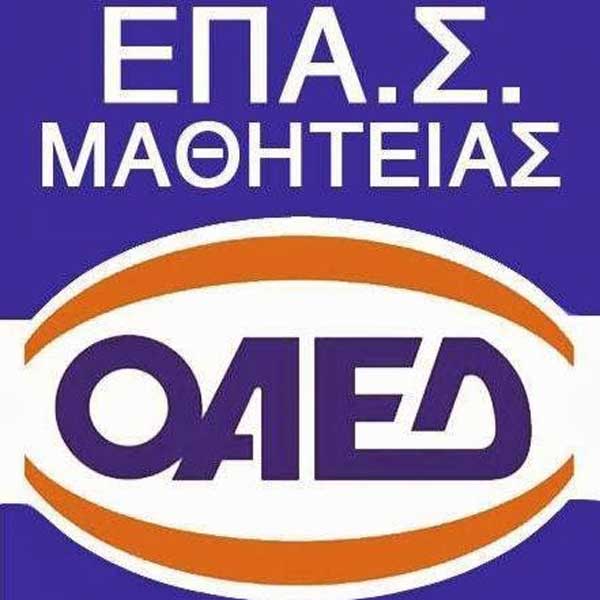 Παράταση μέχρι τις 23 Σεπτεμβρίου για τις αιτήσεις στις 50 ΕΠΑΣ Μαθητείας ΟΑΕΔ
