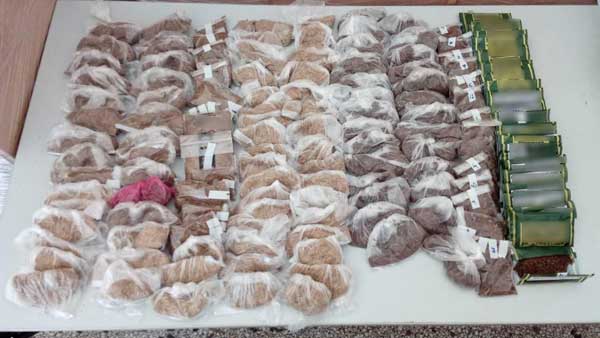Συνελήφθη 32χρονος σε περιοχή της Φλώρινας για παράβαση του τελωνειακού κώδικα
