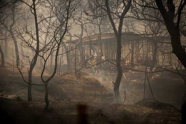 Μεγάλη φωτιά στην Κινέτα – Εκκενώθηκαν τρεις οικισμοί, καίγονται σπίτια [εικόνες & βίντεο]