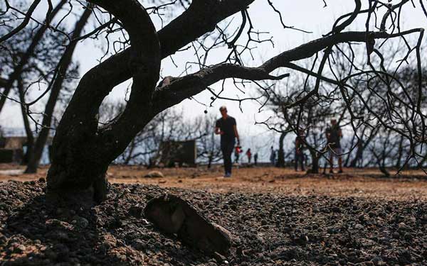 Ανακοίνωση του ΚΕΕΛΠΝΟ για ασαφή δημοσιεύματα σχετικά με λογαριασμό στήριξης των πυρόπληκτων της Αττικής