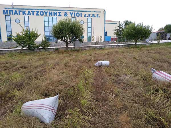 Έτοιμη η παραγωγή φυσικών προϊόντων της εταιρείας Μπαγκατζούνης