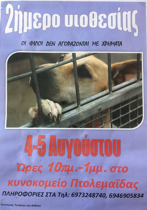 2ήμερο υιοθεσίας “Οι φίλοι δεν αγοράζονται με χρήματα” 4 και 5 Αυγούστου στο κυνοκομείο Πτολεμαΐδας