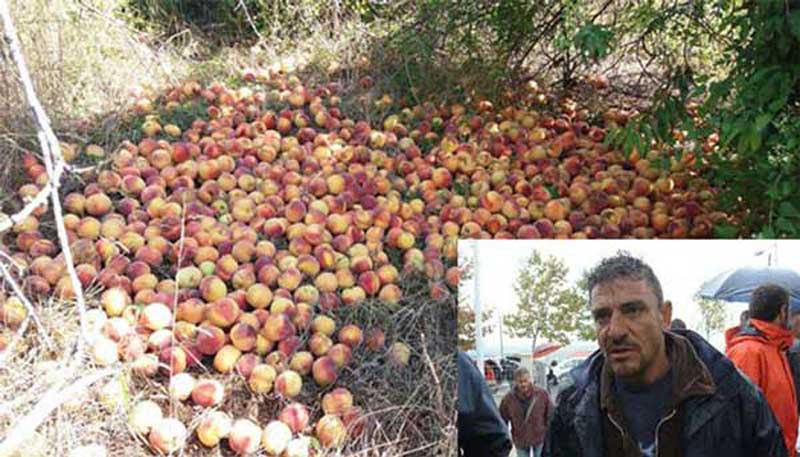 “Ζητάμε την άμεση αποζημίωση της ζημιάς των ροδάκινων”- “Οι πολιτικοί να σκύψουν πάνω στο πρόβλημα, να μην είναι για το θεαθήναι” λέει ο πρόεδρος του Αγροτικού Συλλόγου Βελβεντού