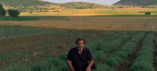 Το μέλλον των αρωματικών φυτών