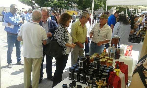 Η Υφυπουργός Ανάπτυξης Ολυμπία Τελιγιορίδου στην 2η γιορτή μελιού της Κοζάνης