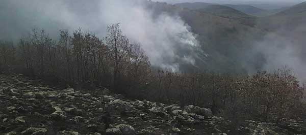 Πυρκαγιά σε εξέλιξη στο Βυθό Βοΐου