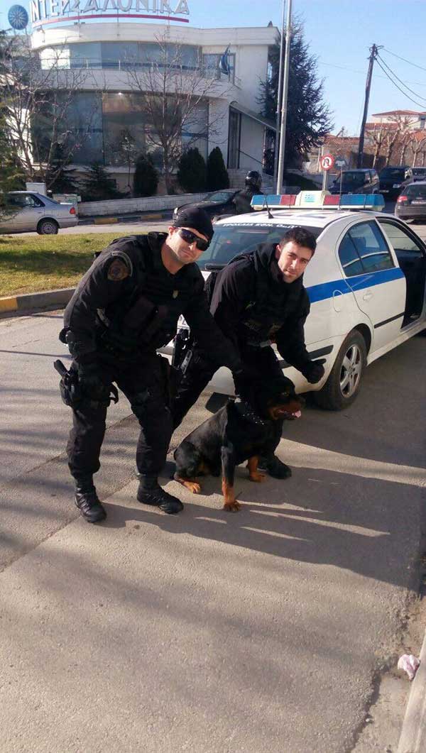 Αστυνομικοί της ομάδας Δίας επέστρεψαν σκύλο στην ιδιοκτήτη του