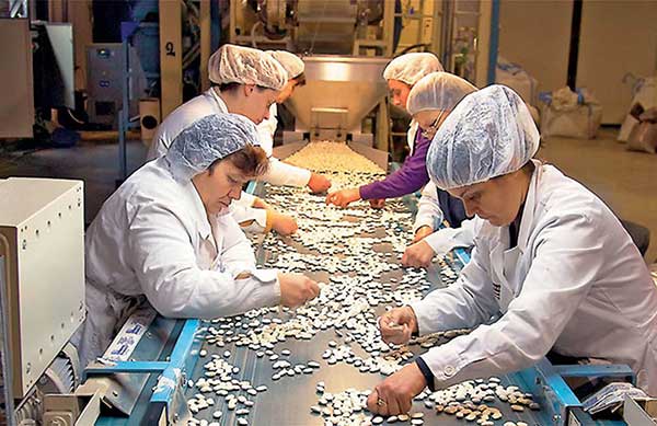 Παρέμβαση εισαγγελέα για παρανομίες ζητούν οι φασολοπαραγωγοί