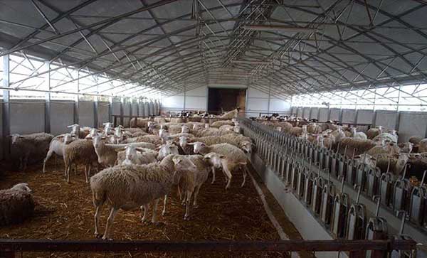 Παράταση της προθεσμίας υποβολής αιτήσεων για έκδοση αδειών διατήρησης και αδειών εγκατάστασης σε κτηνοτροφικές εγκαταστάσεις