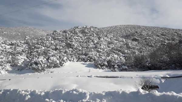 Χιόνια και στην πόλη της Κοζάνης -Ολικός παγετός για πέντε μέρες -Ίσως να δούμε μια άσπρη μέρα