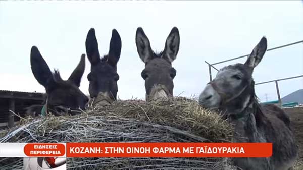 To ρεπορτάζ της  ΕΡΤ 3 για το βιολογικό γαϊδουρινό γάλα από την φάρμα της Οινόης