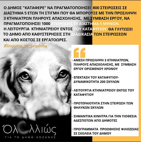 Προτάσεις του «Όλα Αλλιώς» για τον έλεγχο του πληθυσμού των αδεσπότων