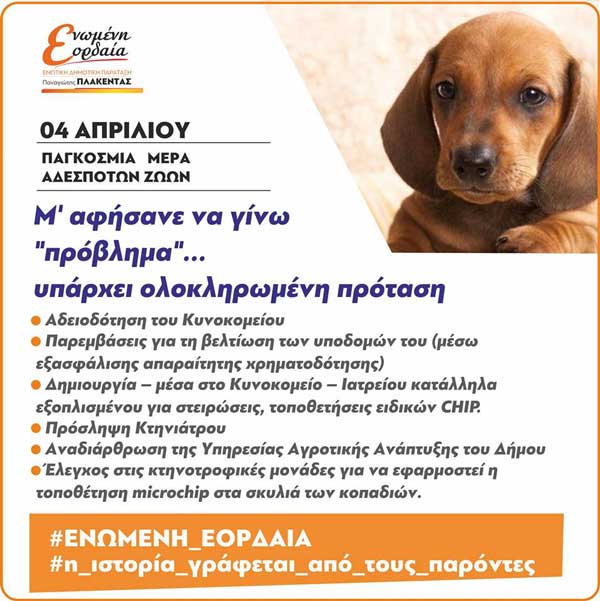 Μ’ αφήσανε να γίνω “πρόβλημα”… – Η ολοκληρωμένη  πρόταση του Παναγιώτη Πλακεντά για τα αδέσποτα