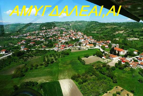 Αμυγδαλέαι, αι (Πικριβενίτσα)