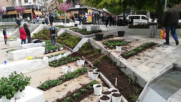 Τα νέα λουλούδια στην κεντρική πλατεία τοποθετούνται