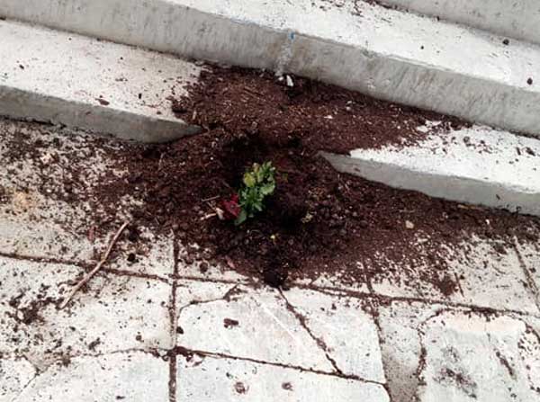 Άγνωστοι βανδάλισαν τον ανθόκηπο του 3ου Γυμνασίου Κοζάνης