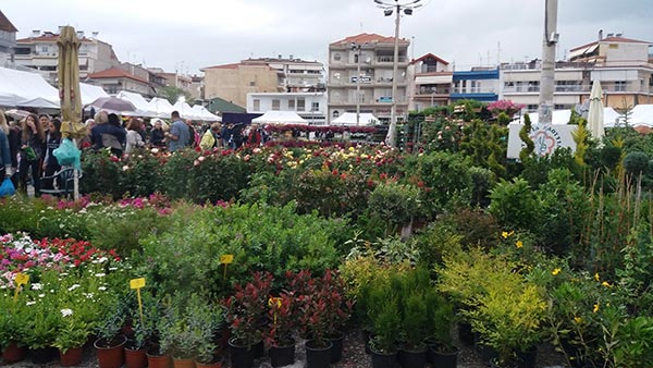 Άνοιξε τις πύλες της η 20η Ανθοκομική Έκθεση Πτολεμαΐδας με μεγάλη συμμετοχή εκθετών και επισκεπτών