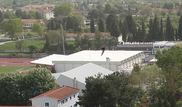 Λάζαρος Μαλούτας: Μια σεζόν κλειστό το κολυμβητήριο του ΔΑΚ Καμία εργασία-Συνεχίζουν την κοροϊδία