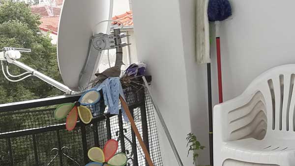Κοζάνη: Η δεκαοχτούρα γέννησε στο μπαλκόνι