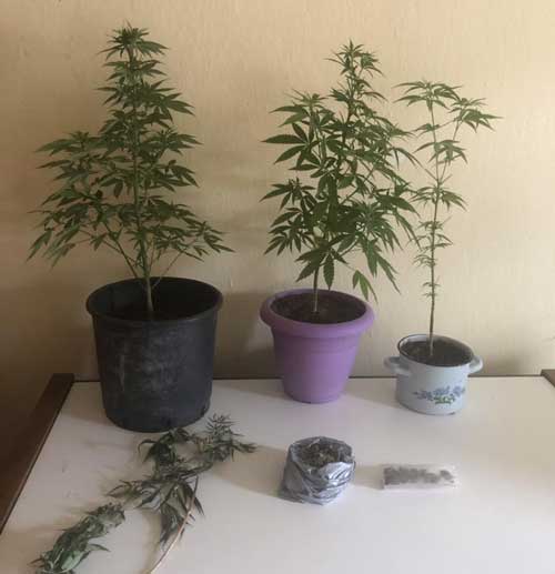 Σύλληψη δυο ατόμων στην Καστοριά για κατοχή και καλλιέργεια ναρκωτικών ουσιών, κατά περίπτωση