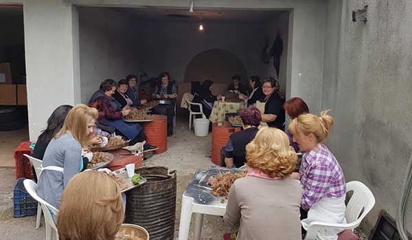 Τo Καθάρισμα του Κρόκου