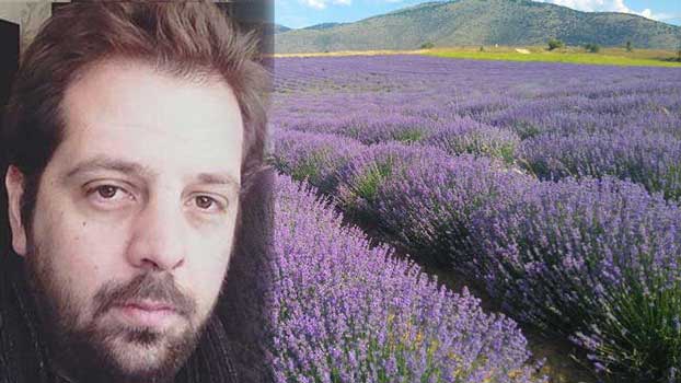 «Ανθεί» η καλλιέργεια λεβάντας στην Ελλάδα-Τι λέει ο Λάζαρος Σεμερτζίδης από την Ξηρολίμνη