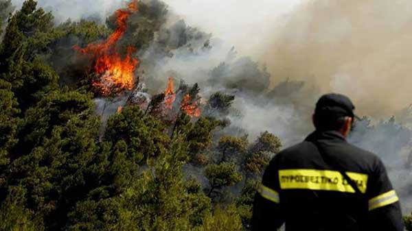 1η Πυροσβεστική Διάταξη ΠΕ.ΠΥ.Δ. Δ.Μ.: Κανονισμός ρύθμισης μέτρων για την πρόληψη και αντιμετώπιση πυρκαγιών σε δασικές και αγροτικές εκτάσεις στην Περιφέρεια Δ. Μακεδονίας