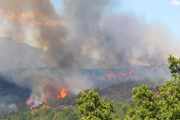 Μαίνεται η πυρκαγιά στο Λογγά Ελάτης με κατεύθυνση προς τη Βουργάρα Τρανοβάλτου (βίντεο, φωτογραφίες)