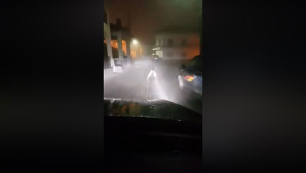 Οδηγός Ι.Χ. κινείται πίσω από μια αρκούδα στη Βλάστη! (Δείτε το βίντεο)